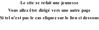 Le site se refait une jeunesse  Vous allez être dirigé vers une autre page Si tel n’est pas le cas cliquez sur le lien ci dessous